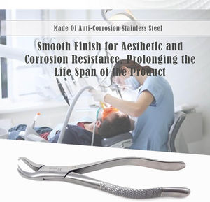 Fórceps de Extracción Dental de Acero Inoxidable de Alta Calidad con Logotipo Personalizado, Reutilizables, Agarre Ergonómico, Uso Manual, Certificación CE - Product Image 6