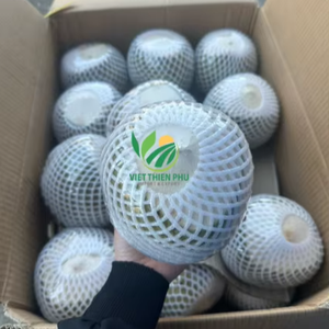 Coco fresco Premium de VIET NAM-Embalaje a granel La mejor OFERTA DE JULIO Contáctenos para cotización y muestras VIET THIEN PHU COMPANY - Product Image 1