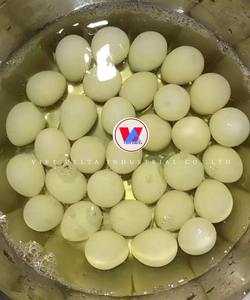 Œufs de caille en conserve emballés en vrac VDELTA |   Exportateur vietnamien - Product Image 4