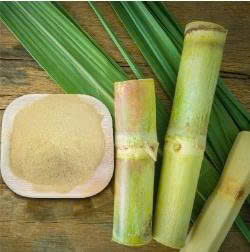 Zumo de caña de azúcar liofilizado de alta calidad en polvo/natural/listo para usar/grado alimenticio - Product Image 6