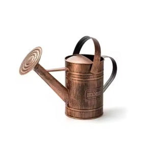 Marvelous Design Black Metal Galvanized Watering Can With <b>Removable</b> Spray Spout Water Can at Good Price - Product Image 5