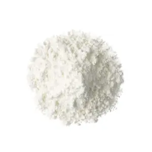 Coconut Powder Bulk Coconut Shell Powder for Food Beverage Ingredients