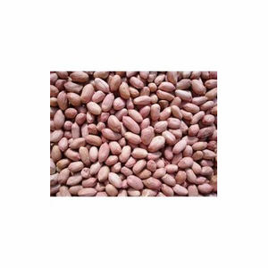 Vente en gros d'arachides fraîches séchées biologiques de haute qualité pour les collations de l'industrie alimentaire transformées en grandes quantités - Product Image 5