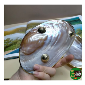 Plat décoratif de bijoux de plaque de coquille, plaque décorative de coquille de la meilleure qualité, fournisseur d'exportation décoratif fait à la main de plaque de coquille - Product Image 2