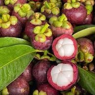 Premium Biologische Verse Mangosteen Superieure Kwaliteit Duurzaam Geproduceerd Geavanceerde Verpakking Thailand Khey Taladthai Graad 8kg Houdbaar