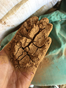 ธูปทำผงธูปผลิตจากเวียดนาม/เซรีน่า - Product Image 2