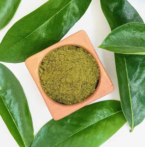 Poudre de feuilles de corossol en gros: la meilleure qualité du Vietnam - Product Image 1