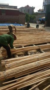 หวายธรรมชาติ ขนาดสั่งทำได้ตั้งแต่ 6 มม. ถึง 40 มม.  หวายดิบและหวายฟอกขาว แกนหวายแข็งแรง ไม่มีเส้นใย จำหน่ายเป็นกิโลกรัม - Product Image 5