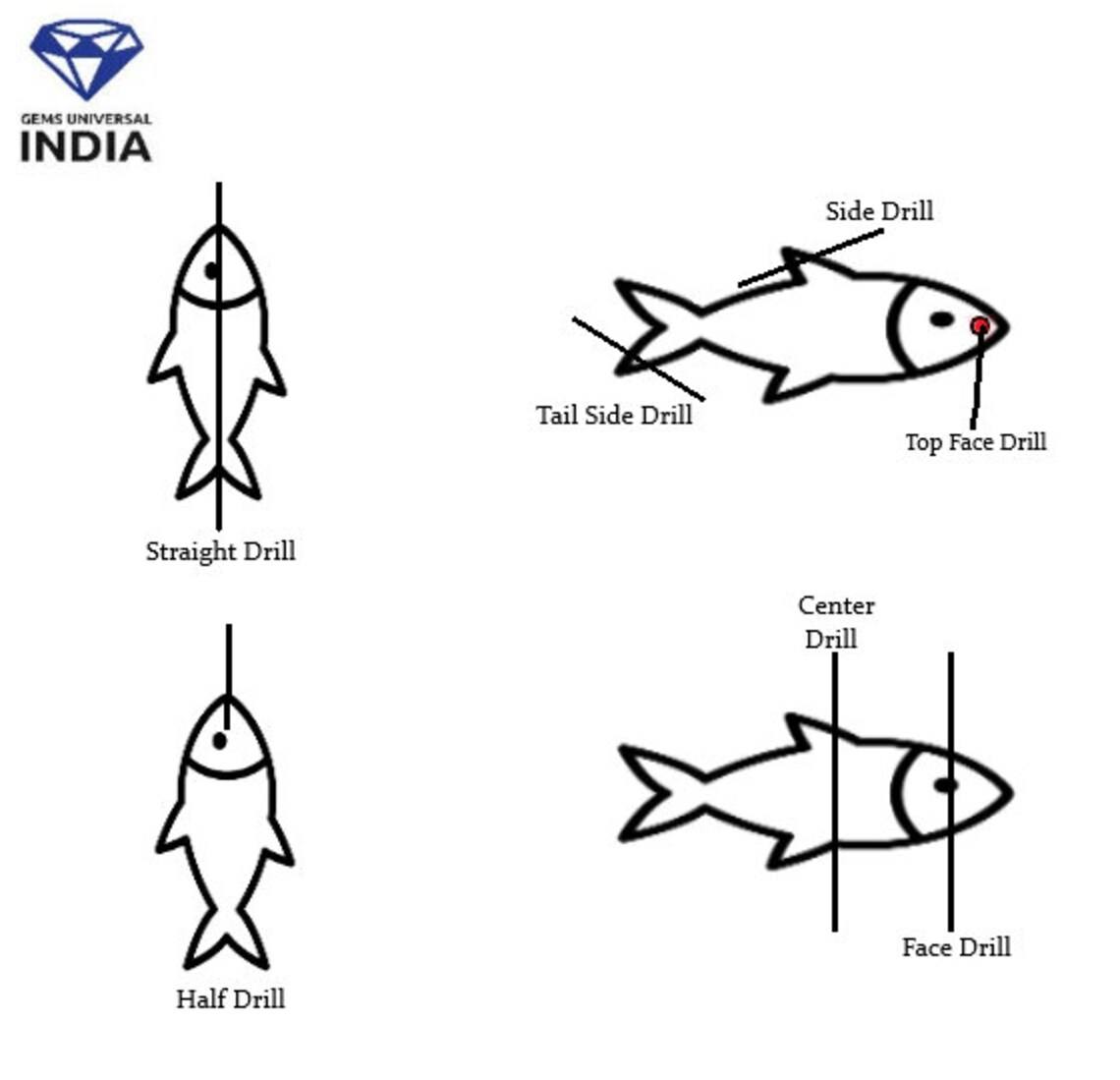 แบบเจาะ