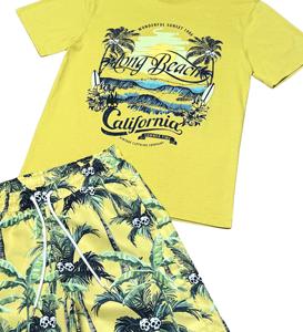 2 pièces t-shirts pour adultes patchwork demi-manches t-shirts été ensemble court cordon de serrage taille imprimé plage courts ensembles sur mesure - Product Image 2