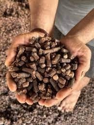 Pellets de madera de primera calidad a la venta, combustible de calefacción limpio y eficiente, compre pellets de madera de alta calidad en línea o a granel - Product Image 3