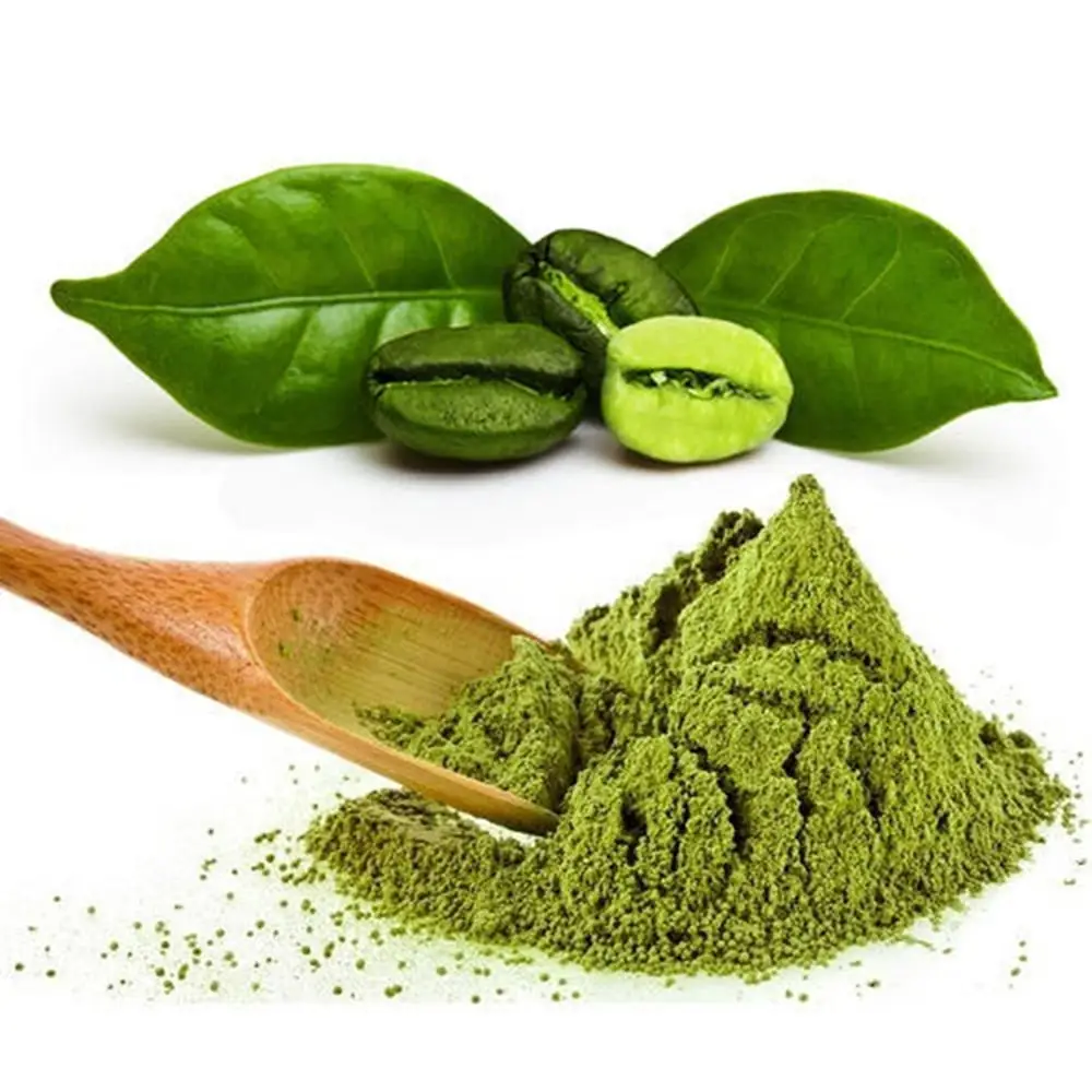Không biến đổi gen cao hiệu lực màu xanh lá cây chiết xuất hạt cà phê bột tinh khiết hữu cơ màu xanh lá cây chiết xuất hạt cà phê có sẵn từ Ấn Độ