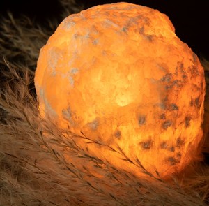 Usine nouvelle veilleuse en cristal de l'Himalaya personnalisée coquillage sculpté décor à la maison avec des briques de sel naturel de style amour et animal - Product Image 4