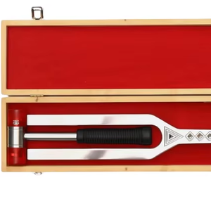 Diapason géant à succès avec clé DnA (256 Hz et 487 Hz) pour la guérison et la méditation avec marteau. - Product Image 1