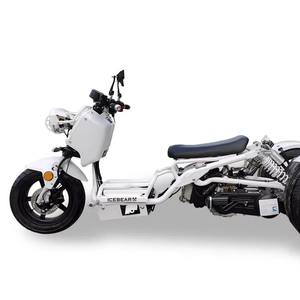 Scooter Icebears Trikes 150cc monoplace - Product Image 3