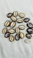 Perles en coquillages cauris naturels en gros, taille personnalisée avec trou, emballage en vrac pour cadeaux de plage, accessoires de bijoux DIY, disponible en promotion