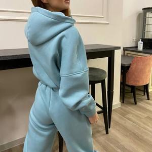 Femmes grande taille 100% coton survêtement ensemble solide motif hiver Fitness vêtements-sweat à capuche pantalon usine en gros de point joueur - Product Image 2