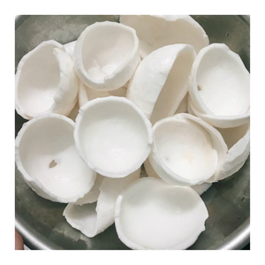 Prix compétitif de la viande de noix de coco congelée naturelle de forme variée, noix de coco râpée congelée de haute qualité - Product Image 5