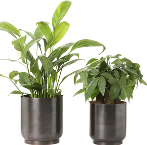 Vente en gros Design personnalisé fait à la main en métal pot de fleurs pour la maison jardin balcon prix - Product Image 1