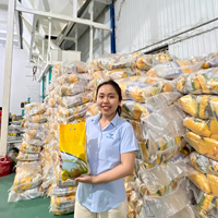 Vente en gros disponible Emballage de la marque du membre-Premium Thai Jasmine Riz Parfumé Échantillon gratuit Contacter Mme Mai Pham Vilaconic