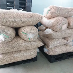 Vietnam Trusted Supplier Cashew Nuts Cashew Nuts W320 Cashew Nut SP Exported To US, EU, Middle East