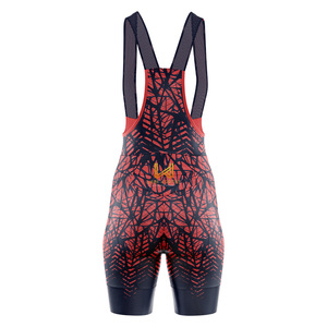 Pantalones Cortos de Ciclismo Personalizados Unisex, de Secado Rápido, Transpirables, Resistentes al Viento, Sin Costuras, Tallas Grandes - Product Image 5