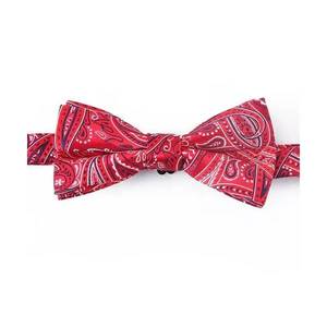 Assorted Men Bow <b>Tie</b> Set | Polka Dot Paisley Plaid | Striped Fashion Bowties for Formal Wedding Party Suit Neckwear Accessories - Product Image 2