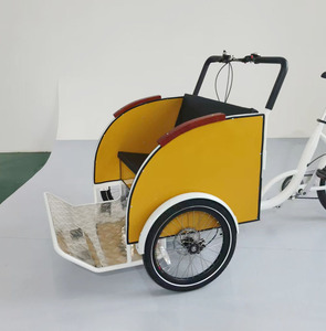 Vélo <span class=keywords><strong>cargo</strong></span> électrique  Tour touristique en ville  Vélo électrique à double moteur - Product Image 4