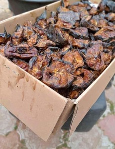 Seiche séchée au goût riche avec une durée de conservation de 12 mois - Product Image 1