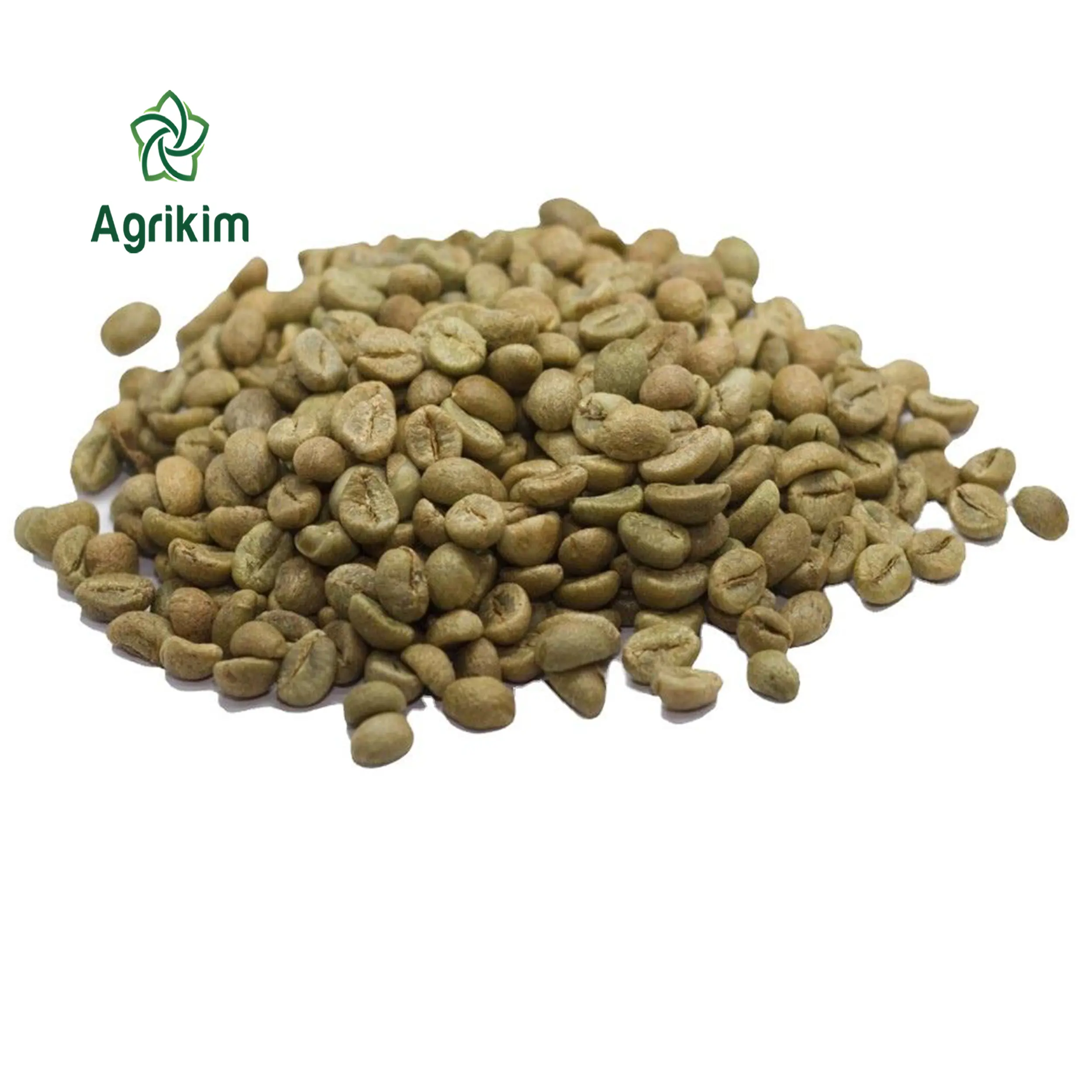 [무료 샘플] Robusta 커피 콩 베트남 원산지 + 8436356928 에서 녹색/녹색 커피 콩 전체를 배송 할 준비가되었습니다.