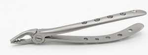 Forceps d'extraction dentaire professionnels en acier inoxydable à surface mate avec manche perforé pour l'élimination des molaires et des prémolaires - Product Image 3
