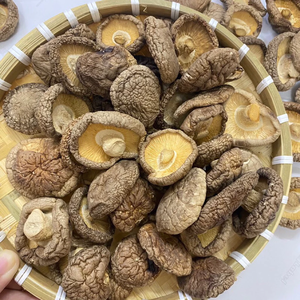 Champignons Shiitake Séchés Nutritifs du Vietnam – Source Fiable, Propre et Sûre pour les Acheteurs - Product Image 2