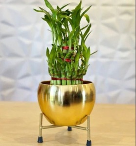 กระถางต้นไม้2025พร้อมโลหะสำหรับตกแต่งในร่มและกลางแจ้ง - Product Image 3