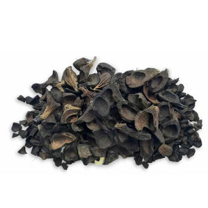 Cáscara de coco de cáscara de almendra de palma pura 100% a precio competitivo Cáscara de trigo sarraceno a granel Alforfón sin hojas para la venta - Product Image 4