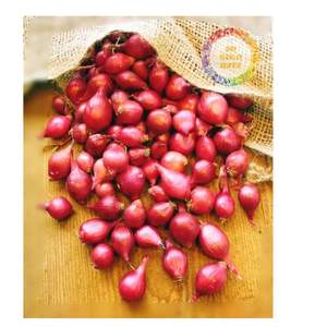 EXPORT STANDARD <b>DRIED</b> SHALLOT PURPLE <b>ONION</b> FROM VIETNAM FOR GLOBAL IMPORTERS AND DISTRIBUTORS - Product Image 2