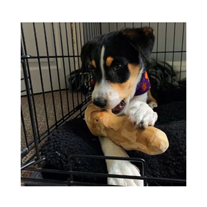 แท่งไม้สำหรับสุนัขจากเวียดนามแท่งไม้สำหรับใช้เคี้ยวทำด้วยมือทำจากไม้กาแฟธรรมชาติ - Product Image 4