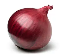 Organically Grown Red Onion Exporters, Best Wholesale Rates