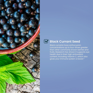 Bán buôn người phụ nữ PMS thời kỳ mãn kinh axit béo Blueberry nho đen bổ sung nước trái cây chiết xuất nho đen viên nang cho sức khỏe da - Product Image 3