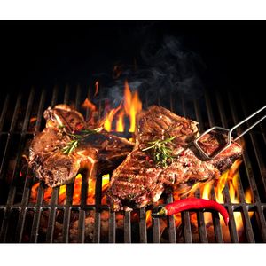 Estante para horno de carbón - compatible con CHOE761 - Product Image 4