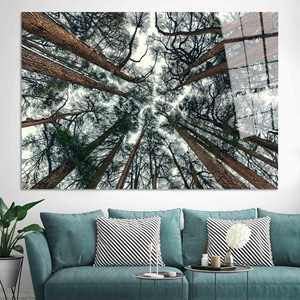 Toile imprimée : style farmhouse, décoration minimaliste, feuillage d'arbre, ART SUR VERRE TÉMPERÉ - Product Image 1