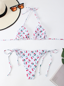 Ensemble de bikini deux pièces sexy pour femmes, imprimé animal, grande taille, tissu en spandex/nylon, séchage rapide, propriétés antibactériennes - Product Image 5