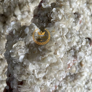 ¡¡¡OFERTA!!! ESCALAS DE PESCADO SECAS PARA LA ELABORACIÓN DE COLÁGENO DE VIETNAM AL MEJOR PRECIO Y ALTA EXPORTACIÓN - Product Image 1