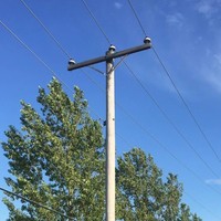 Poteau télécom en PRV pour projets d'infrastructure en promotion - Fabricant de poteaux utilitaires en fibre de verre robustes