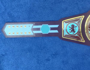Cinturón frontal de cuero genuino suave de 6mm de peso pesado personalizado para torneos de lucha para Champion Award Gear Legacy Competition Gear - Product Image 4