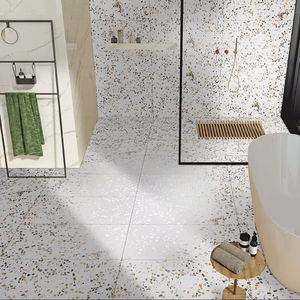 600x1200mm TERRASTONE BLANCO Azulejos de porcelana antibacterianos antideslizantes Acabado mate moderno Sólido para uso en habitaciones interiores Europa - Product Image 1