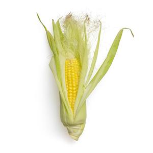 Maïs jaune séché Grade 1 Pack de 10kg Qualité biologique Livraison rapide Offres spéciales en gros en stock - Product Image 5