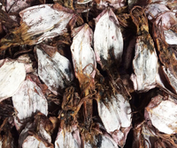 VENTE EN GROS DE MEILLEURE QUALITÉ SÉCHÉ RÔTIS RAYAGE CALMARI NOIR | ORIGINE VIETNAM