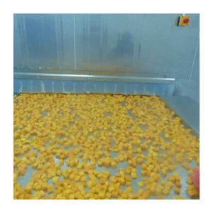 Mango congelado de Vietnam en trozos y rodajas IQF-dulce y natural, ideal para mercados de exportación que requieren alta calidad - Product Image 6