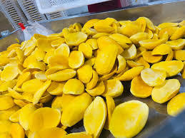 VDELTA Exportation directe de morceaux de mangue congelés du Vietnam |   Emballage en vrac disponible - Product Image 2