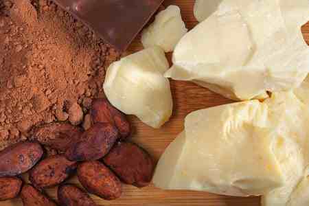 100% Pure Cocoa Butter  Rich in Antioxidants Vietnam Factory Organic Cultivation Bulk Supply Contact Us